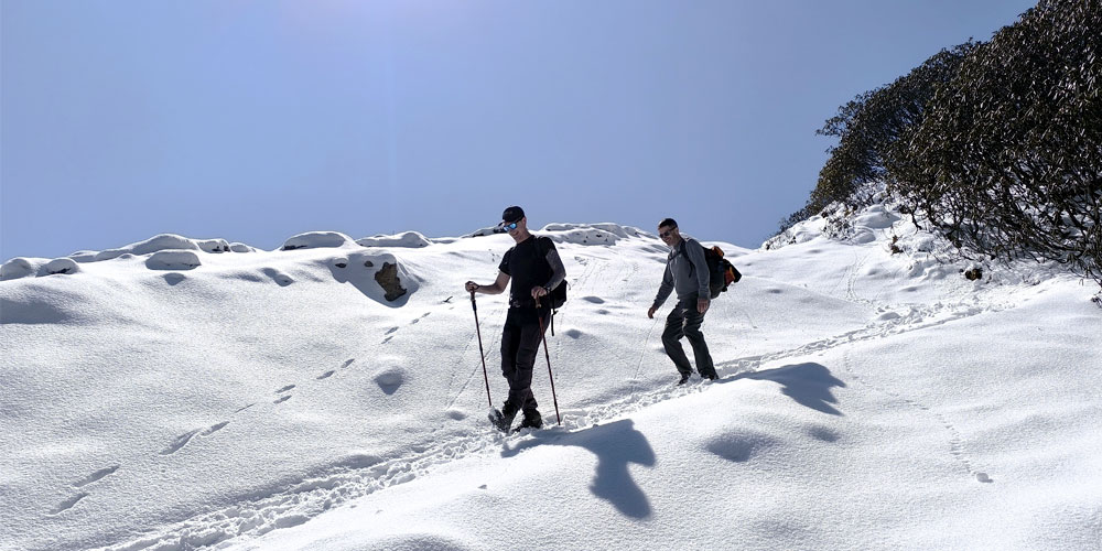 Trail to Pikey Peak Trek
